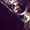 Photo of Nawaf S.