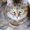 Photo of Kitty S.