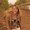 Photo of Vicki M.