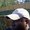 Photo of Dave L.