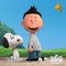 Steve N.