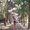 Photo of Hien N.