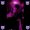 Photo of Marco G.