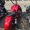 Photo of Jason S.