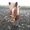Photo of Qype User (isi-7…)