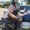 Photo of Nicole T.