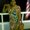 Photo of Lelee Y.