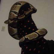 google avatar