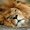 Photo of Qype User (nicoaq…)