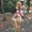 Photo of Veronika M.