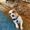 Photo of Bridgett B.