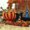 Photo of Lynn H.