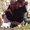 Photo of Beckie L.
