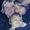 Photo of Qype User (davend…)