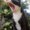 Photo of Elvia P.