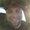 Photo of Nic H.