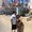 Photo of Stephany P.