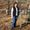 Photo of Melissa B.