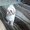 Photo of Dee N.