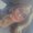 Photo of Mckenzie S.