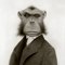 Photo of Danny C.