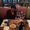 Photo of Penny S.