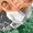 Photo of Paresh M.