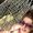 Photo of Steph S.