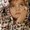 Photo of Jacqueline C.