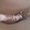 Photo of Easha T.