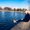 Photo of Ivonne S.