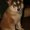Photo of Missy P.