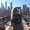 Photo of Layla H.