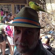 google avatar