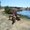 Photo of Donna K.