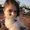 Photo of Nataly P.