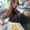 Photo of Adrienn P.