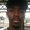 Photo of Rico S.