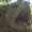 Photo of nick w.