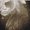 Photo of Andie J.