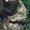 Photo of beegee e.