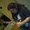 Photo of Qype User (MrLJM…)