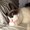 Photo of Mireille T.