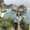 Photo of Abha L.