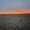 Photo of Diego H.