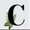 Photo of Christy H.
