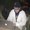 Photo of Jay T.