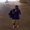 Photo of Mandar K.