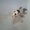 Photo of ande s.
