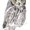 Photo of Lauren T.